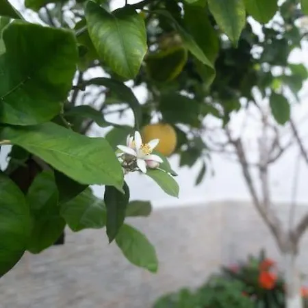 Murillo By Gades Gestion * Cadiz