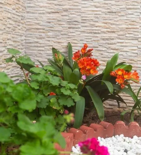 Murillo By Gades Gestion *