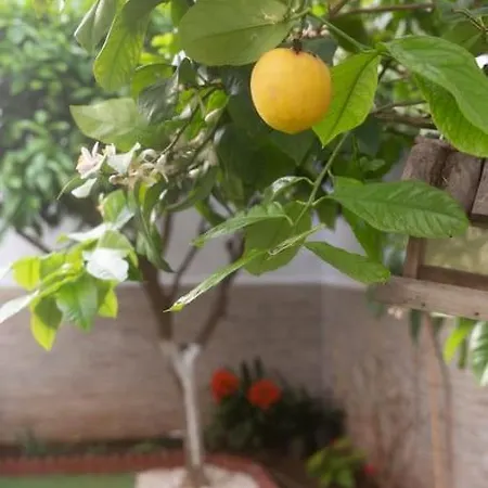 Murillo By Gades Gestion 公寓 *