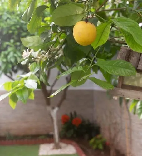 Murillo By Gades Gestion Апартаменти *