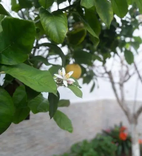 Murillo By Gades Gestion * Cádiz