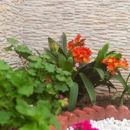 Murillo By Gades Gestion *